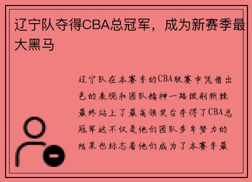 辽宁队夺得CBA总冠军，成为新赛季最大黑马